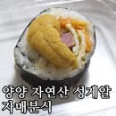 자매분식 - 속초시 중앙로147번길 26 | [내돈내산] 양양 낙산사 자매분식 자연산 성게알 유튜브만큼 가성비 좋을까? 포장 솔직후기!
