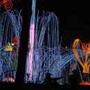 광주첨단쌍암공원(한중수교15주년빛의축제) 이미지