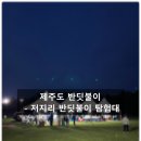 제주도 6월 축제 - 2026 저지리 반딧불이 탐험대 후기