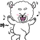 띠울 애견미용 이미지