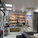 24시 아프리카동물병원 이미지