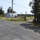 표선리-15 이미지