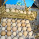 계란한꾸러미 이미지