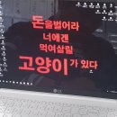 플랜몬스타 | 2026. 02