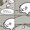 혜당생활과학 관저점 | [24년 3월] 첫 사회생활 스타트....~