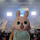 260501 데이식스 원필 솔로 콘서트 <Unpiltered> 첫콘 후기