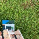 하조델리앤스테이 이미지