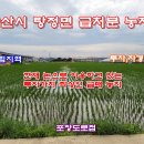 [아산토지]아산/탕정 탕정신도시.삼성인근 투자,대토추천 농지 이미지