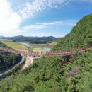 출렁다리 이미지