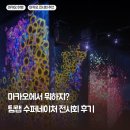 네이처프라자 | 아이 동반 여행 마카오 팀랩 수퍼네이처 후기! 30% 할인 정보 &amp; 관람 꿀팁