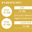 가온플러스