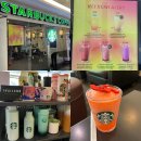 인형방콕 | 방콕 스타벅스 메뉴 가격 컵 인형 md 키티 굿즈 리저브