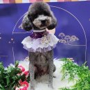 남동대로 이미지