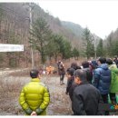 사북국유림관리소 네이버블로그