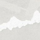 Lee 휘트니스 이미지