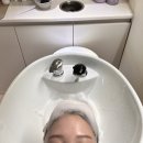 스마트동물병원 성북길음점 | 성북구 두피관리 전문 헤어위로에서 두피진단과 모발 케어까지 받은 후기