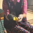 한마음노래연습장 이미지