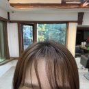 염색이야기 | [울산 남구] 찐찐찐으로 머리잘하는곳 (염색+레이어드컷 후기) “미장원두번째이야기”