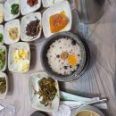 거북이식당 | {수덕사 맛집] 건강을 담은 한 상, 거북이식당 산채정식 후기 🌿