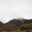 팔영산야영장 이미지