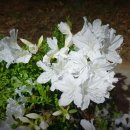 행정사 김동진 사무소 이미지