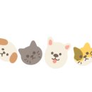 통진목장 이미지