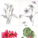 보태니컬 아트 전문가 이미지