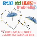 용인대 성민 태권도(반곡관) 이미지