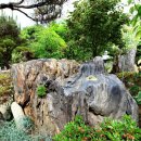 초원의집 이미지