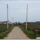 우도초등학교 병설유치원 이미지