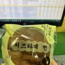 빅토리 유도클럽 이미지