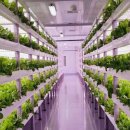 강국농장 이미지