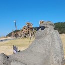 제주도 차박&amp;캠핑 한달살이 16일차-2 이미지