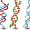 옥석농장 이미지