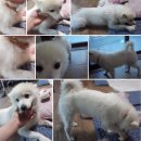 비버PC방 이미지