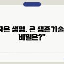 금방여우 티스토리