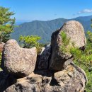 2026년11월1일(일) 올산(859m) /충북 단양 이미지