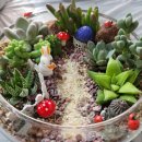 이든테라피 이미지