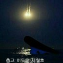 착한바보 이미지