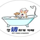 멍청하개 이미지