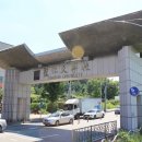용인대TOP 태권도 이미지