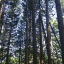 천탑마을 이미지