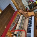 별장상회 이미지