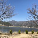 용당수변공원 화장실 | [김해] 3월 매화명소, 상동 "용당나루 매화공원" 다녀온 후기 (feat. 매화 개화상황)