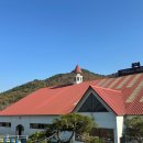 와일드필드커피 네이버블로그