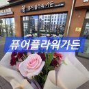 퓨어가든 | 울산 꽃집 추천｜퓨어플라워가든 ‘사알예’ 꽃다발 후기 – 연말 선물로 만족도 최고