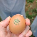 정학축산 | 충남귀농귀촌학교후기(5)-3일차(귀농창업자금,견학)