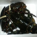 우리집맛자랑
