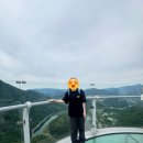 [강원도/정선] 엄마랑 둘이 가기 좋은 여행지, 정선 당일치기 여행 후기(병방치 스카이워크/로미지안가든)🌼