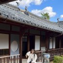 세계로렌트카(안산영업소) | 마쓰야마 렌트카 예약 여행 코스 오카이도 반납 + 클룩 할인코드